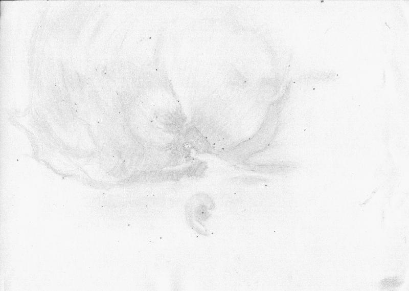 M42 original