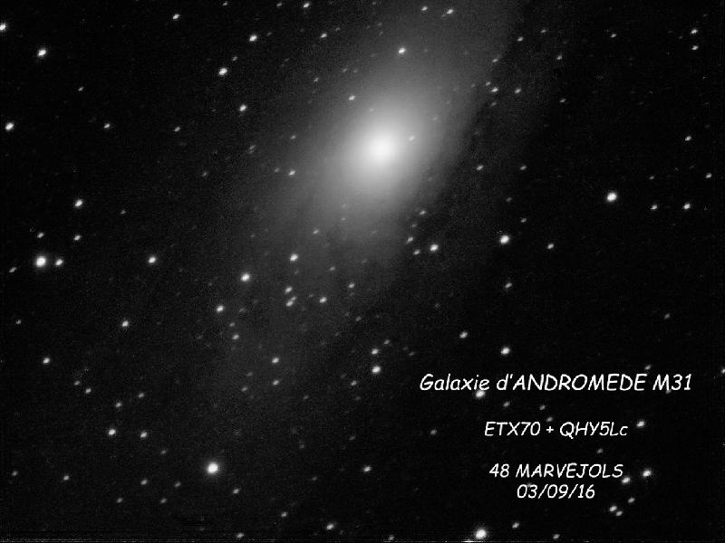 M 31