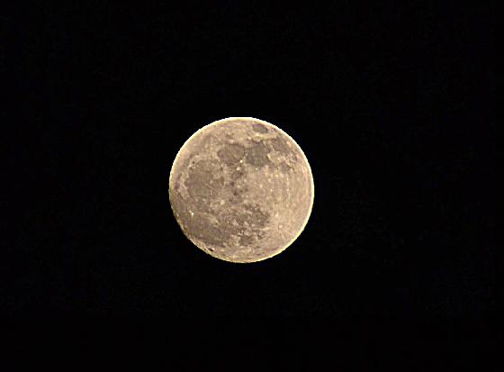 Lune