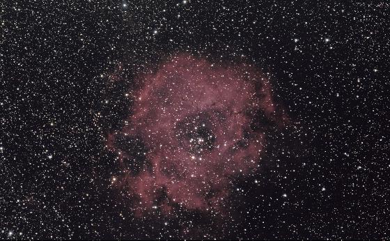Rosette