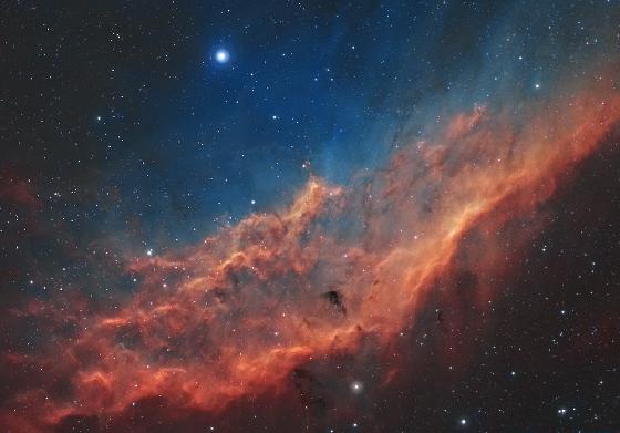 california pour concour