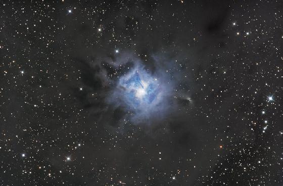 NGC 7023 NGC 7023
