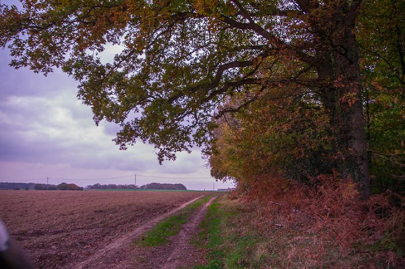 Site de Lalande 2 acces