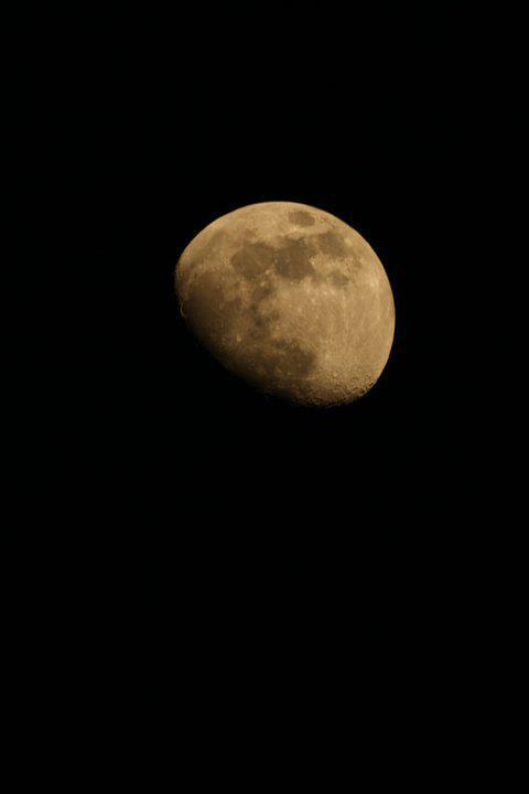 lune lune