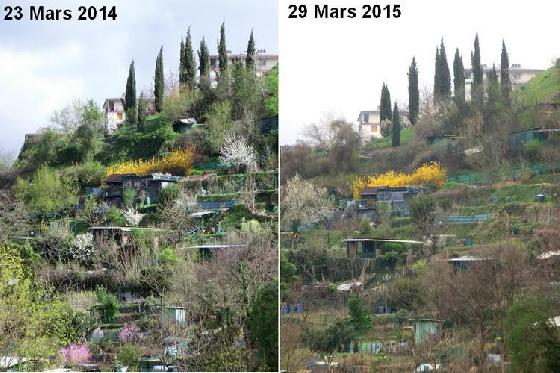Comparaison nature 2014/2015 Comparaison nature 2014/2015