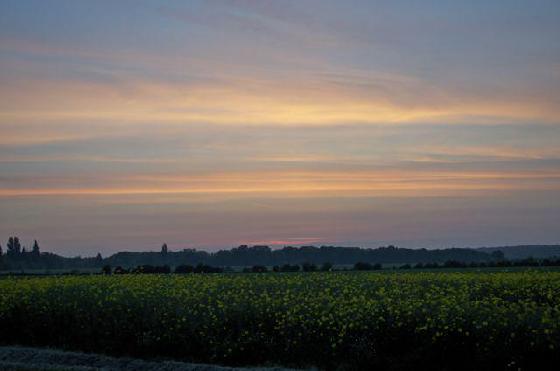 paysage
