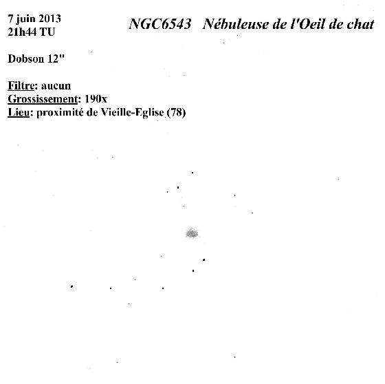 Neb Oeil du chat