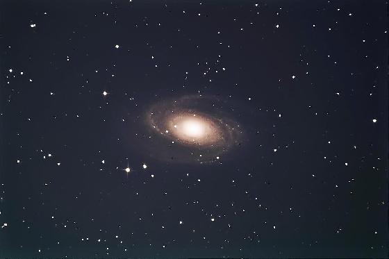 M81