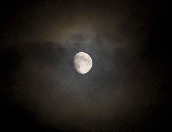 Lune Lune