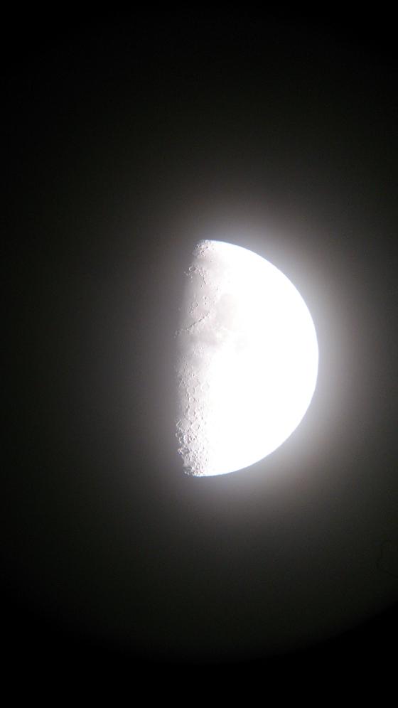 lune lune
