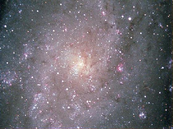 M33