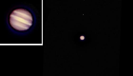 Petite JUPITER 
