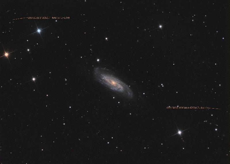 NGC 3198 QSO NGC 3198 QSO