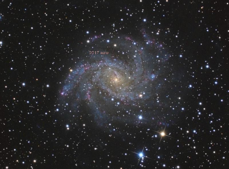 ngc6946