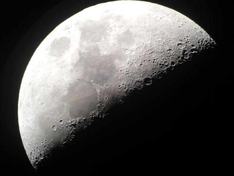 lune lune