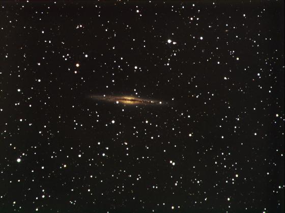 Ngc891