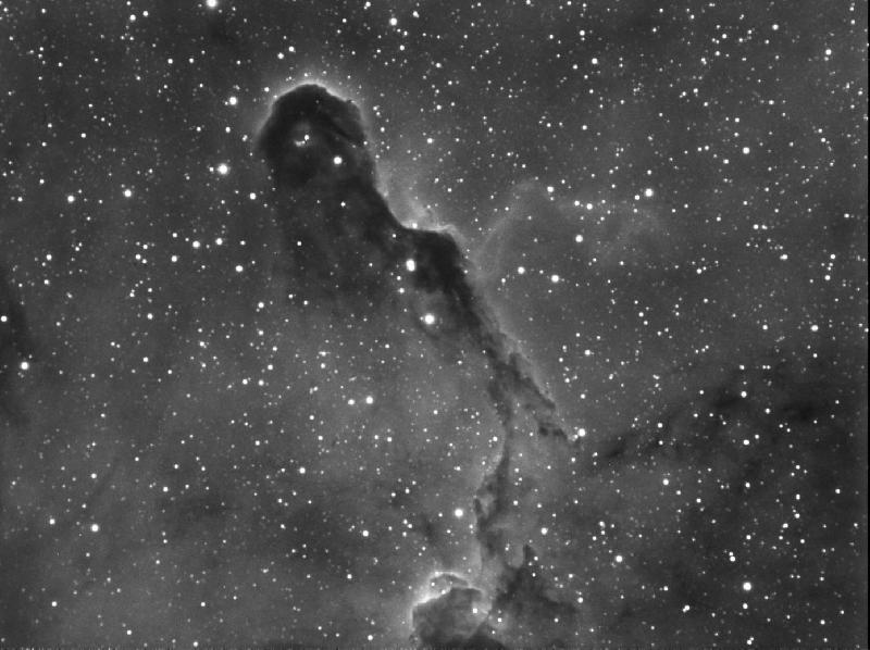 ic1396 ic1396
