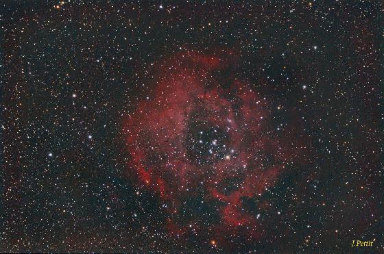rosette