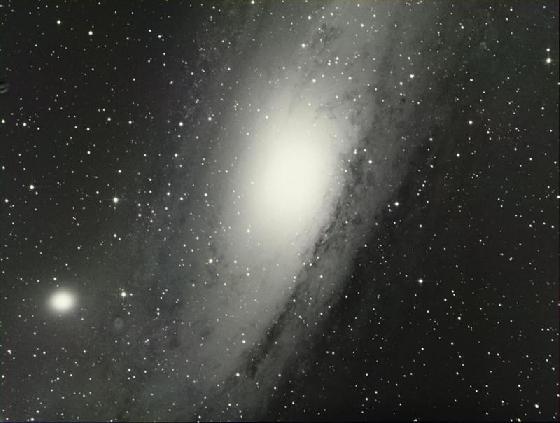M31