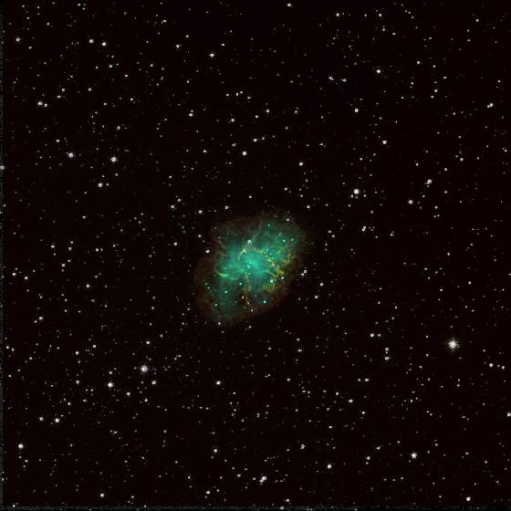 M1