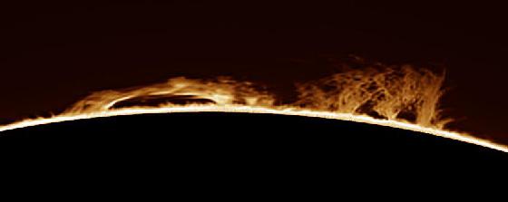 sun h-alpha protu 30.08.2015