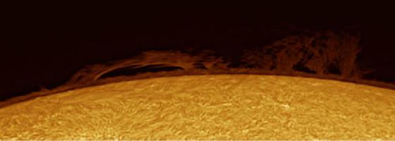 sun h-alpha protu 30.08.2015 sun h-alpha protu 30.08.2015