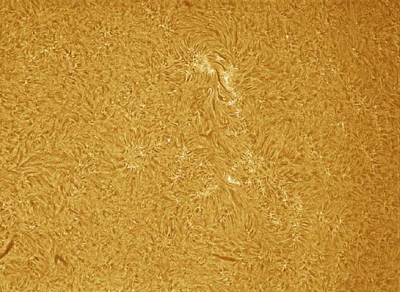 sun h-alpha surface 30.08.2015 sun h-alpha surface 30.08.2015
