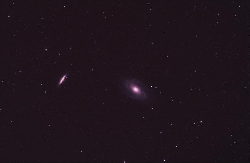 M81 M81