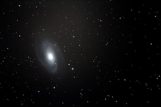 M 81