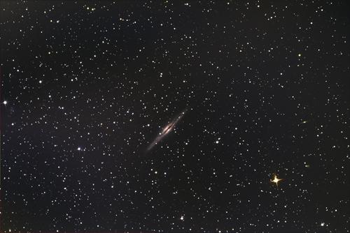 ngc 891