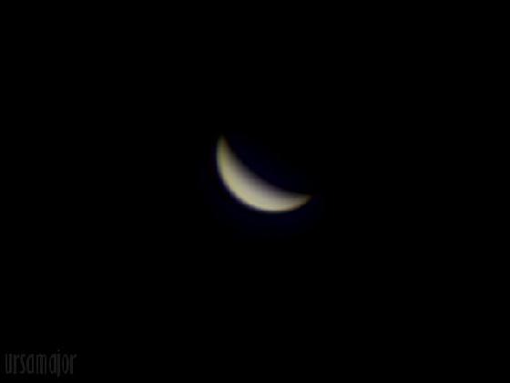 Venus Venus