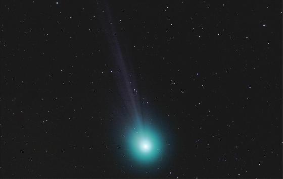 lovejoy lovejoy