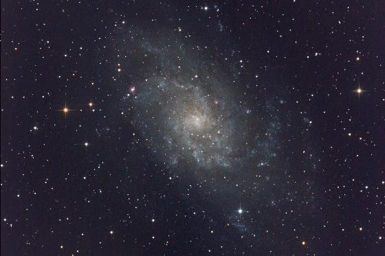 M33