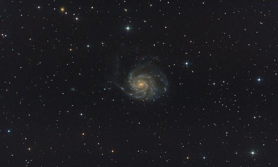 M101 M101