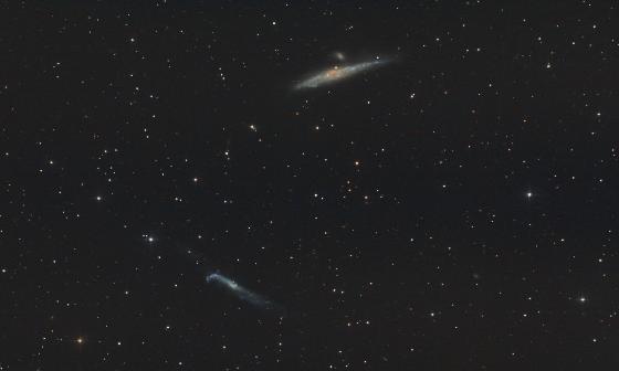 NGC4631-4656 NGC4631-4656