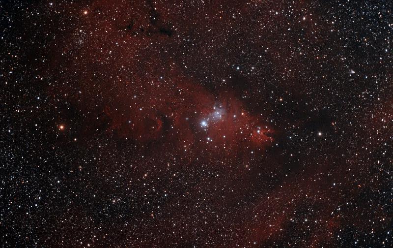ngc2264 ngc2264