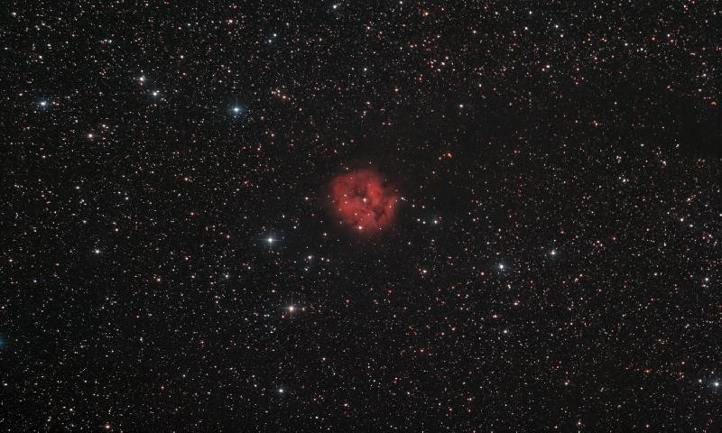 IC5146