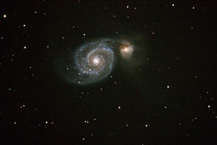 m51 petite
