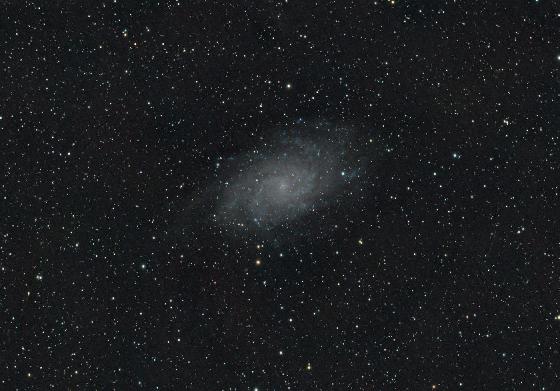 M33