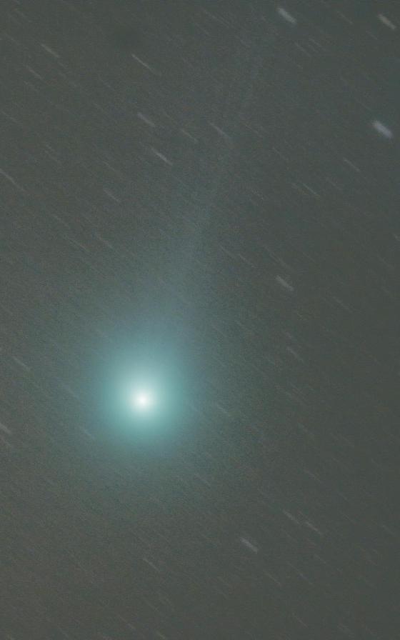 C/2014 Q2 LOVEJOY