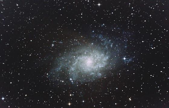 M33