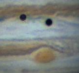 cropp callisto