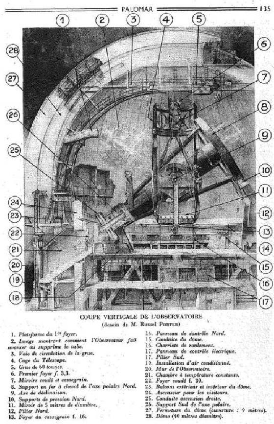 PAGE 7.jpg PAGE 7.jpg