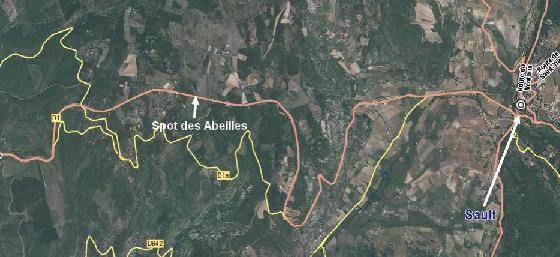 Spot abeille plan large.jpg