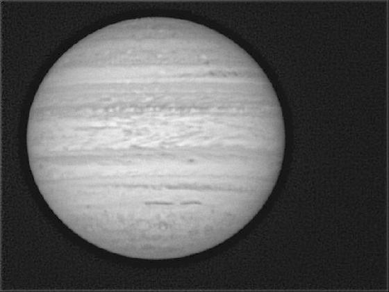 Jupi Patry centrée.jpg