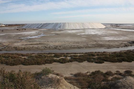 SALINS.jpg