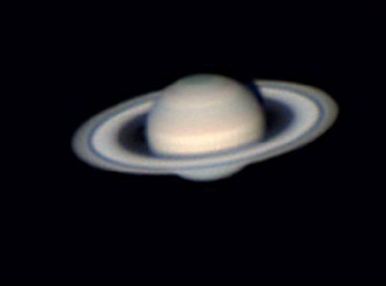Saturne Albéric with white Saturne Albéric with white
