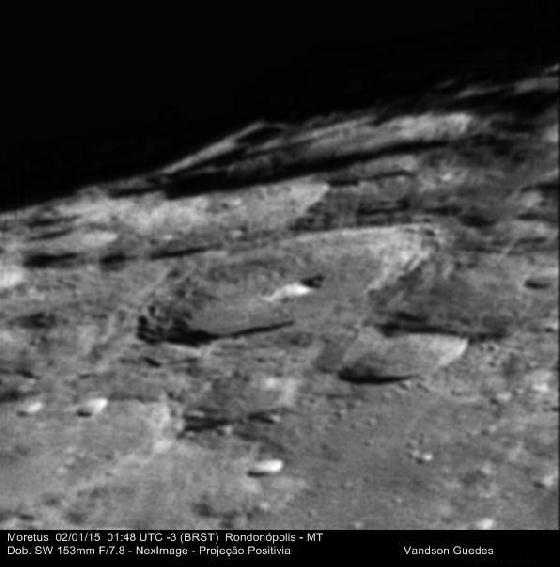 Moretus bresilien Moretus bresilien