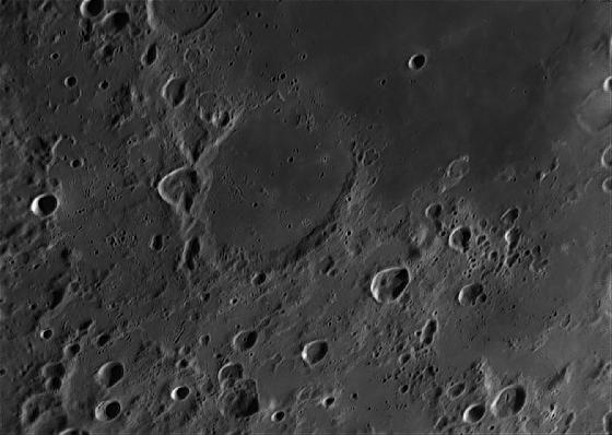 MAX FRACASTORIUS NOUVEAU