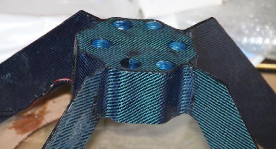 Une araignée bleue